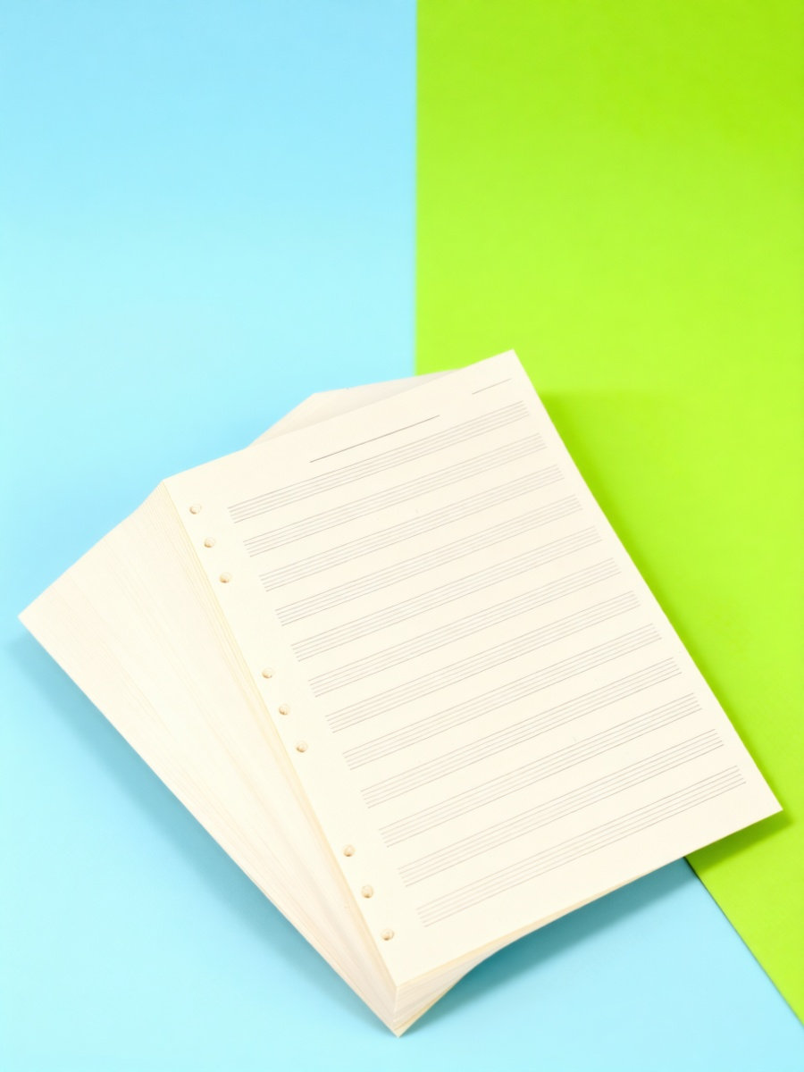 Blank Sheet Music Notebook - 100 Blatt Notenpapier, 5-stufiger Notensatz, 2